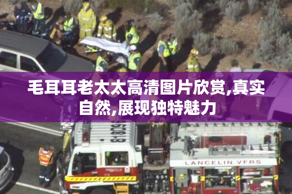 毛耳耳老太太高清图片欣赏,真实自然,展现独特魅力