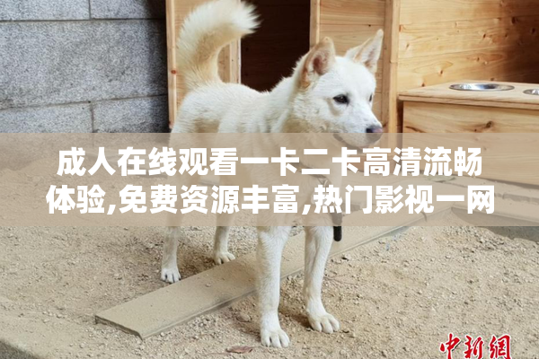 成人在线观看一卡二卡高清流畅体验,免费资源丰富,热门影视一网打