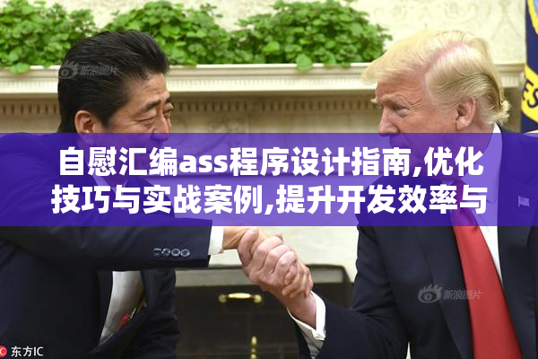 自慰汇编ass程序设计指南,优化技巧与实战案例,提升开发效率与性能