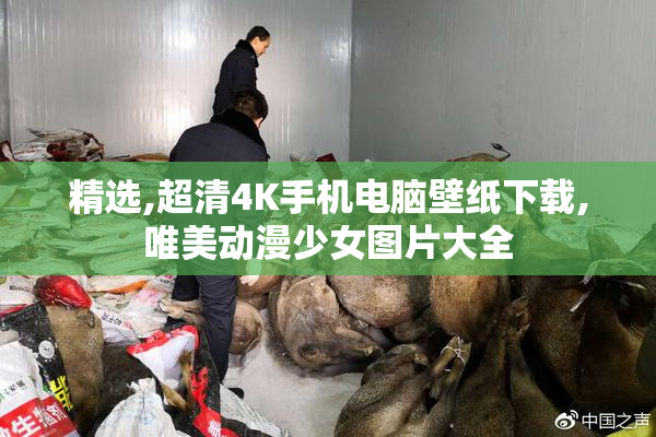 精选,超清4K手机电脑壁纸下载,唯美动漫少女图片大全