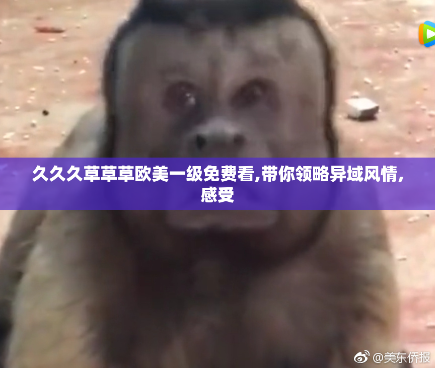 久久久草草草欧美一级免费看,带你领略异域风情,感受