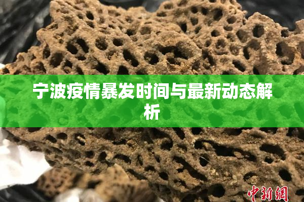 宁波疫情暴发时间与最新动态解析