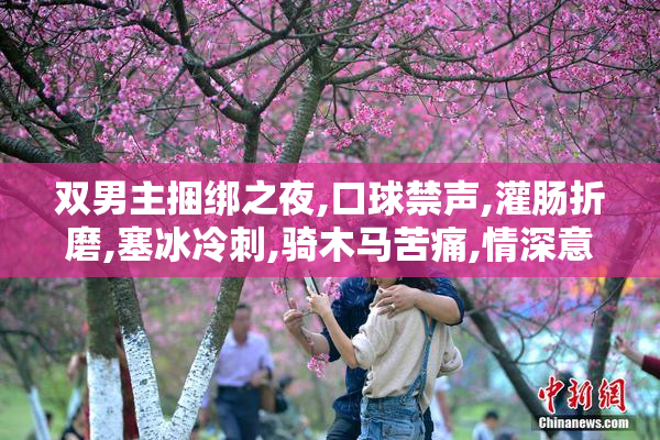 双男主捆绑之夜,口球禁声,灌肠折磨,塞冰冷刺,骑木马苦痛,情深意切