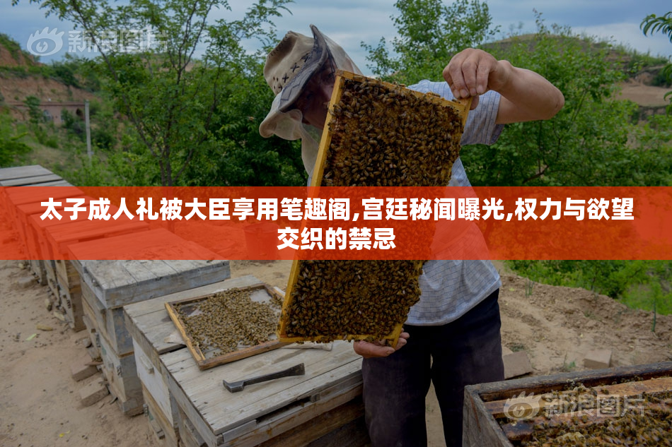 太子成人礼被大臣享用笔趣阁,宫廷秘闻曝光,权力与欲望交织的禁忌