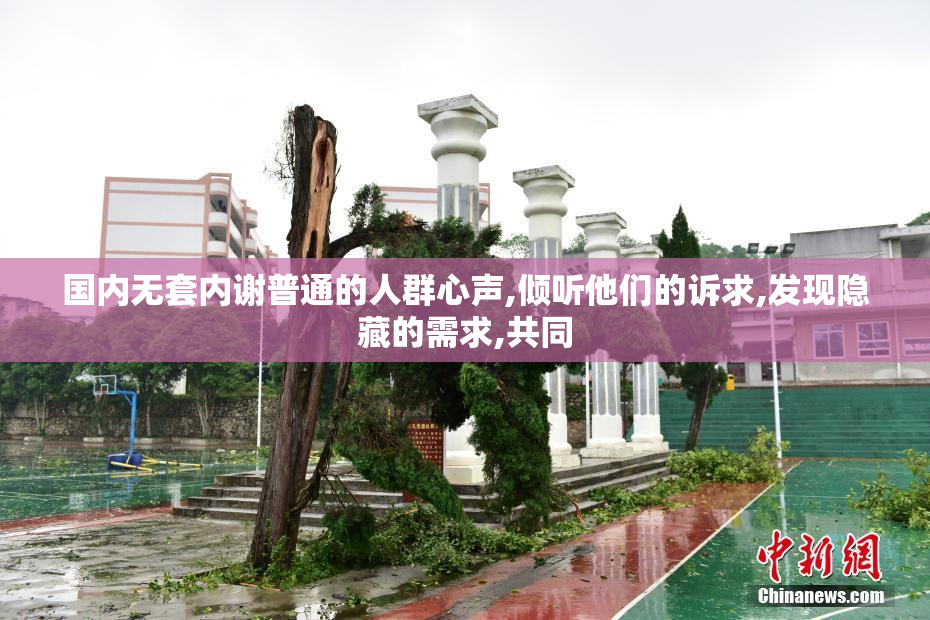 国内无套内谢普通的人群心声,倾听他们的诉求,发现隐藏的需求,共同