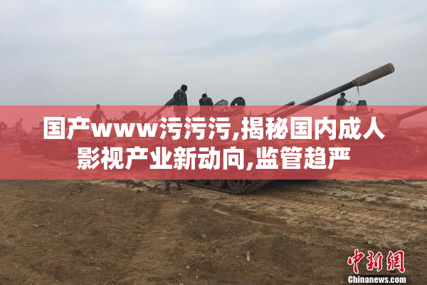 国产www污污污,揭秘国内成人影视产业新动向,监管趋严