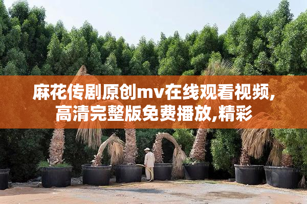 麻花传剧原创mv在线观看视频,高清完整版免费播放,精彩