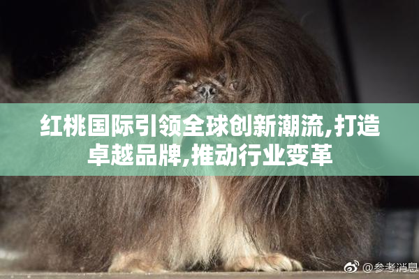 红桃国际引领全球创新潮流,打造卓越品牌,推动行业变革