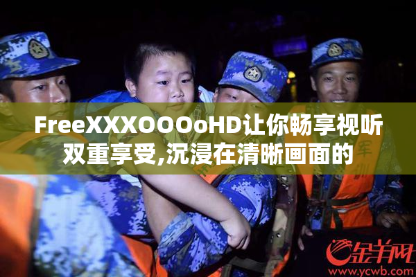 FreeXXXOOOoHD让你畅享视听双重享受,沉浸在清晰画面的