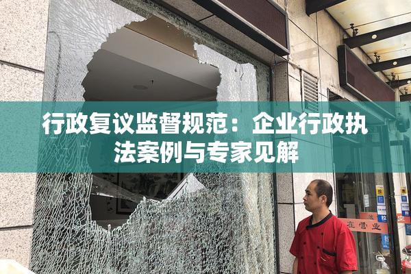 行政复议监督规范：企业行政执法案例与专家见解