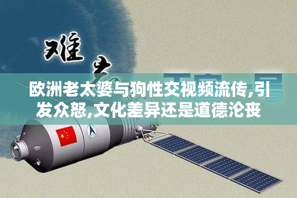 欧洲老太婆与狗性交视频流传,引发众怒,文化差异还是道德沦丧