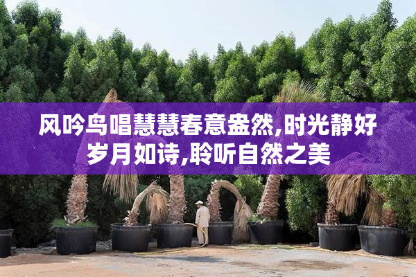 风吟鸟唱慧慧春意盎然,时光静好岁月如诗,聆听自然之美