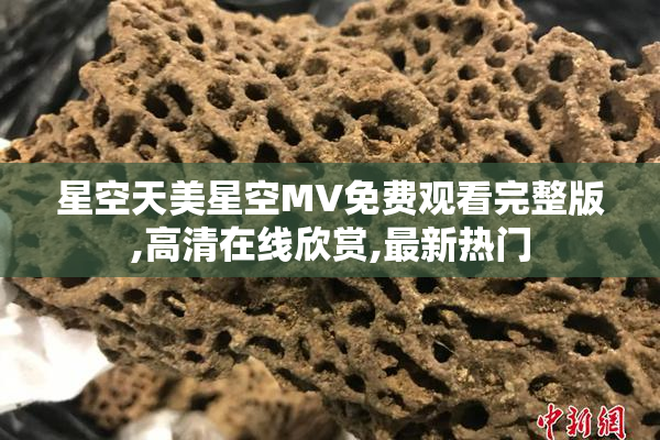 星空天美星空MV免费观看完整版,高清在线欣赏,最新热门