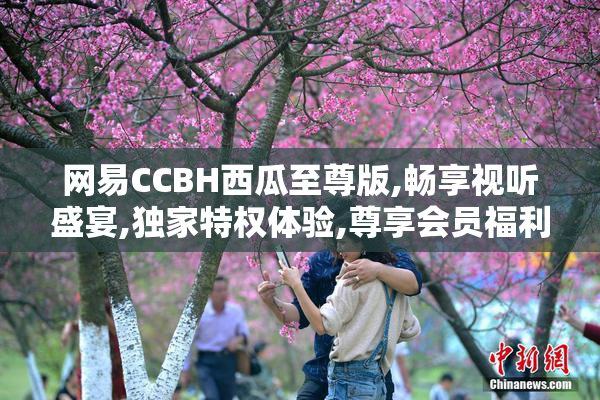 网易CCBH西瓜至尊版,畅享视听盛宴,独家特权体验,尊享会员福利