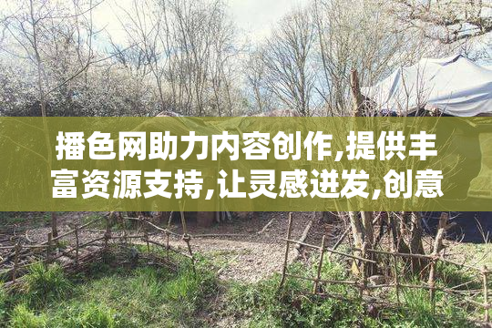 播色网助力内容创作,提供丰富资源支持,让灵感迸发,创意无界限