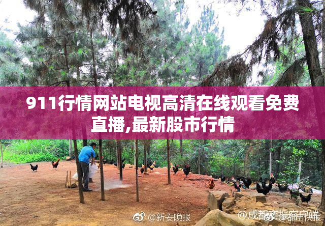 911行情网站电视高清在线观看免费直播,最新股市行情
