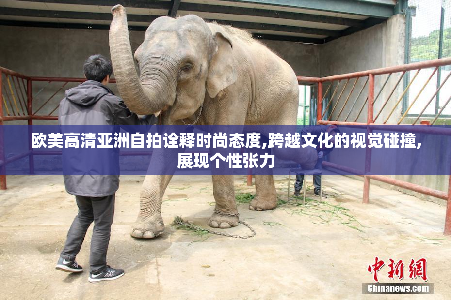 欧美高清亚洲自拍诠释时尚态度,跨越文化的视觉碰撞,展现个性张力