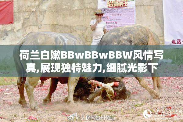 荷兰白嫩BBwBBwBBW风情写真,展现独特魅力,细腻光影下