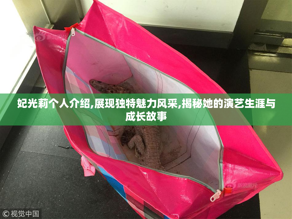 妃光莉个人介绍,展现独特魅力风采,揭秘她的演艺生涯与成长故事