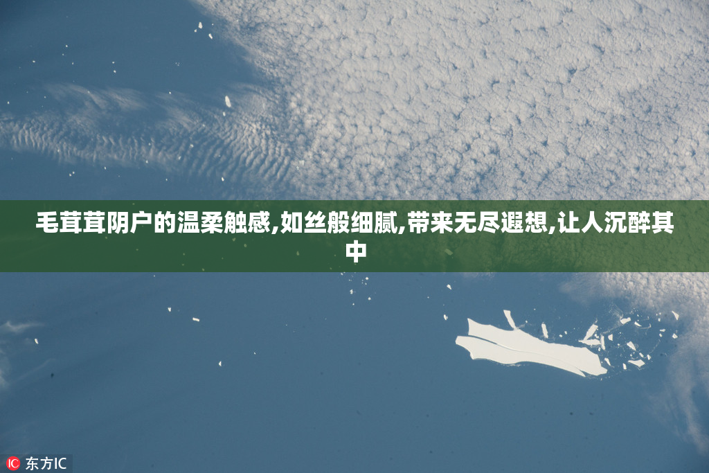 毛茸茸阴户的温柔触感,如丝般细腻,带来无尽遐想,让人沉醉其中