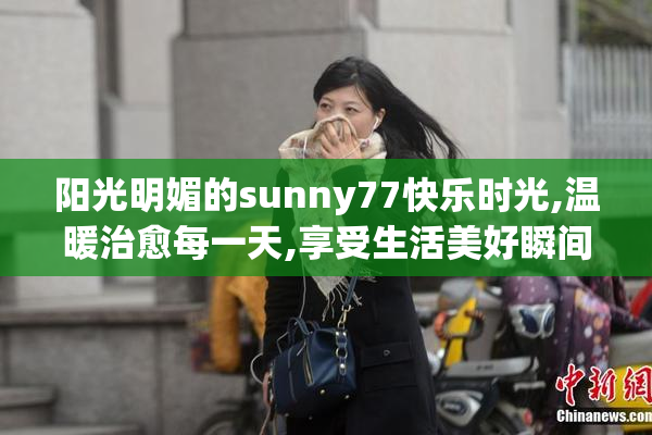 阳光明媚的sunny77快乐时光,温暖治愈每一天,享受生活美好瞬间
