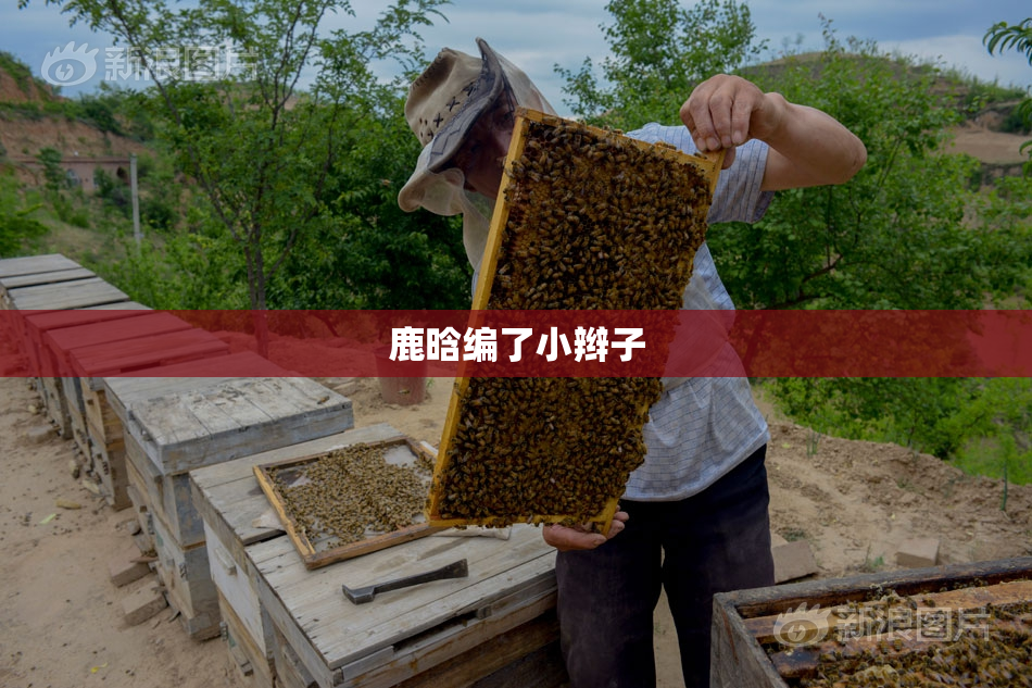 鹿晗编了小辫子