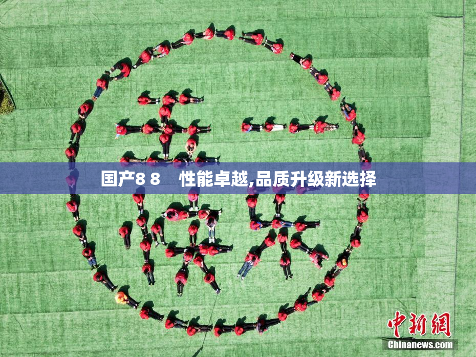 国产8 8    性能卓越,品质升级新选择