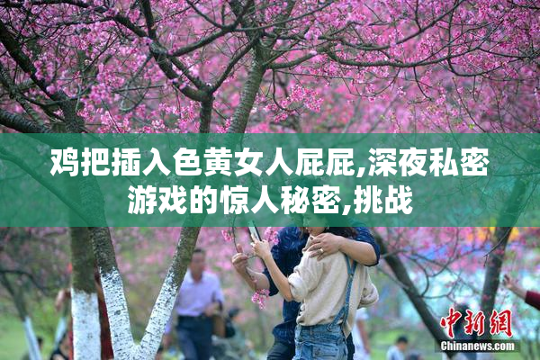 鸡把插入色黄女人屁屁,深夜私密游戏的惊人秘密,挑战