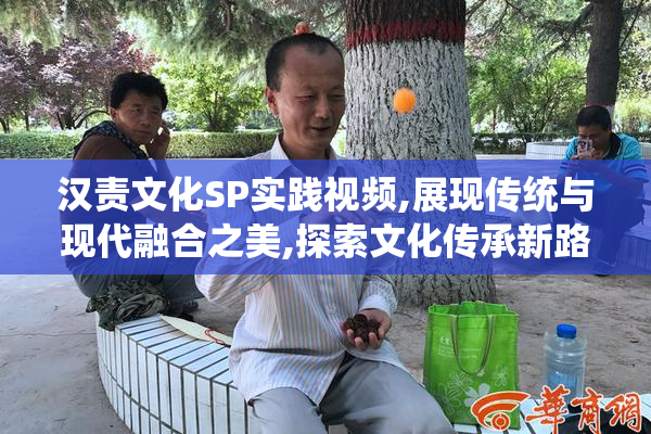 汉责文化SP实践视频,展现传统与现代融合之美,探索文化传承新路径