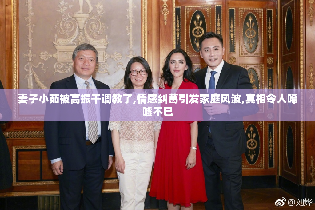 妻子小茹被高振干调教了,情感纠葛引发家庭风波,真相令人唏嘘不已
