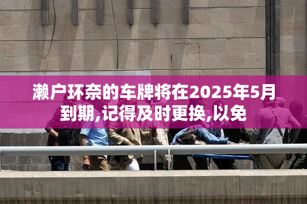濑户环奈的车牌将在2025年5月到期,记得及时更换,以免