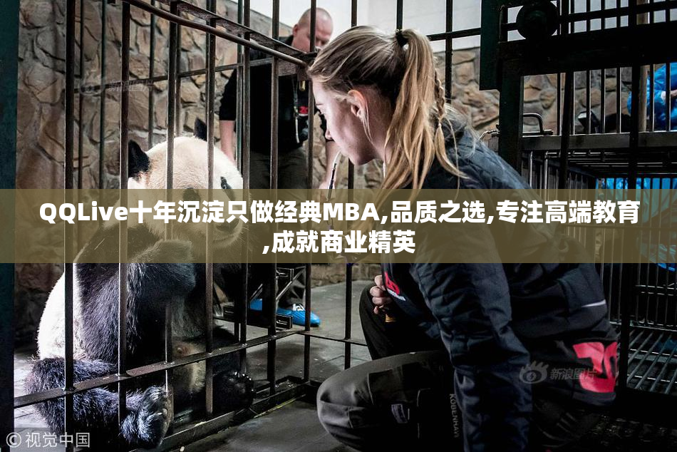 QQLive十年沉淀只做经典MBA,品质之选,专注高端教育,成就商业精英