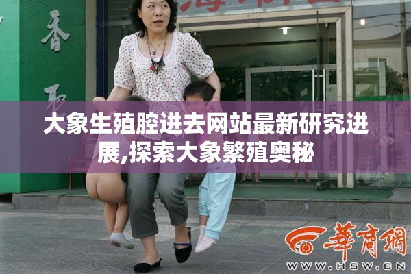 大象生殖腔进去网站最新研究进展,探索大象繁殖奥秘