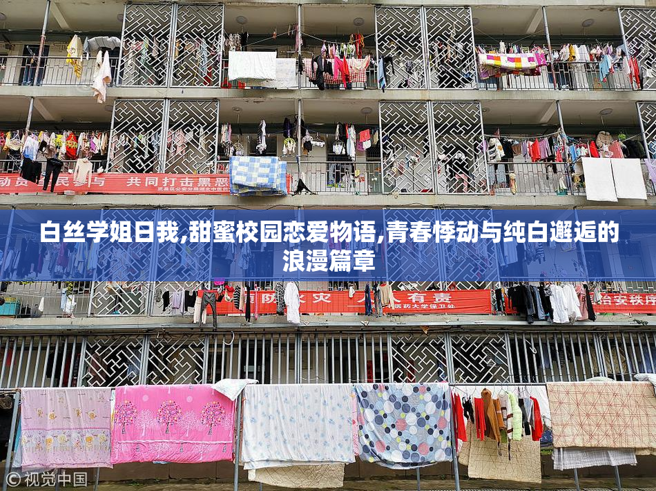 白丝学姐日我,甜蜜校园恋爱物语,青春悸动与纯白邂逅的浪漫篇章