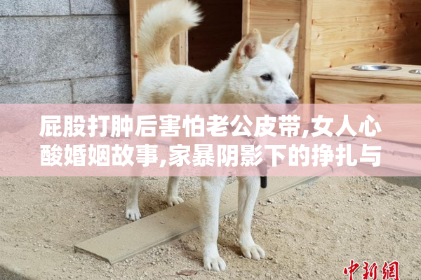 屁股打肿后害怕老公皮带,女人心酸婚姻故事,家暴阴影下的挣扎与觉醒