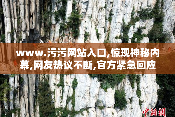 www.污污网站入口,惊现神秘内幕,网友热议不断,官方紧急回应