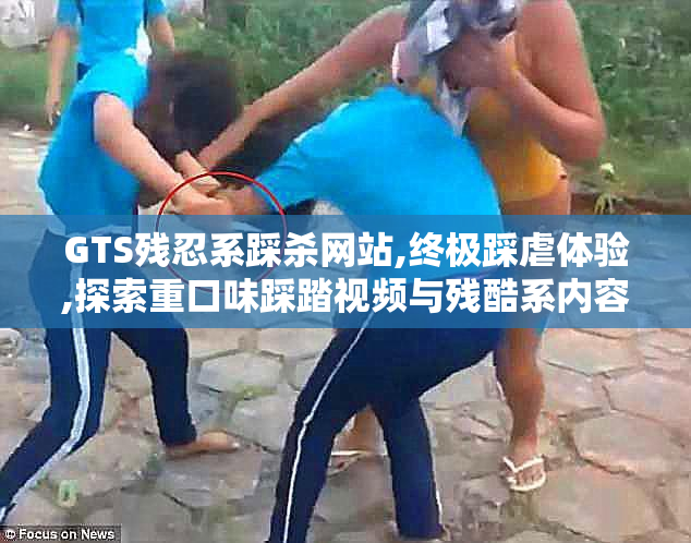 GTS残忍系踩杀网站,终极踩虐体验,探索重口味踩踏视频与残酷系内容