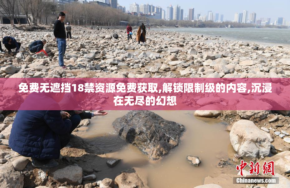 免费无遮挡18禁资源免费获取,解锁限制级的内容,沉浸在无尽的幻想