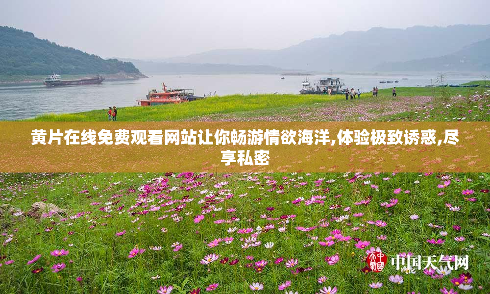 黄片在线免费观看网站让你畅游情欲海洋,体验极致诱惑,尽享私密