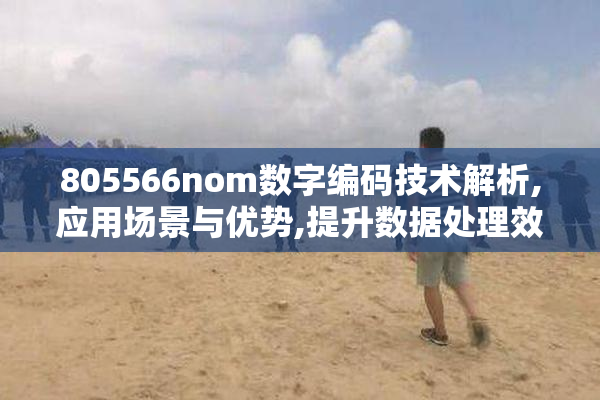 805566nom数字编码技术解析,应用场景与优势,提升数据处理效率的关键
