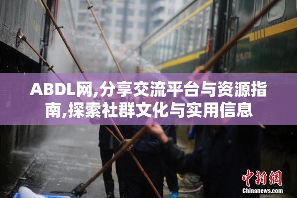 ABDL网,分享交流平台与资源指南,探索社群文化与实用信息