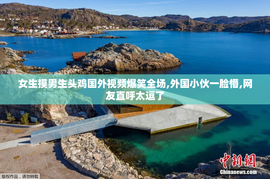 女生摸男生头鸡国外视频爆笑全场,外国小伙一脸懵,网友直呼太逗了