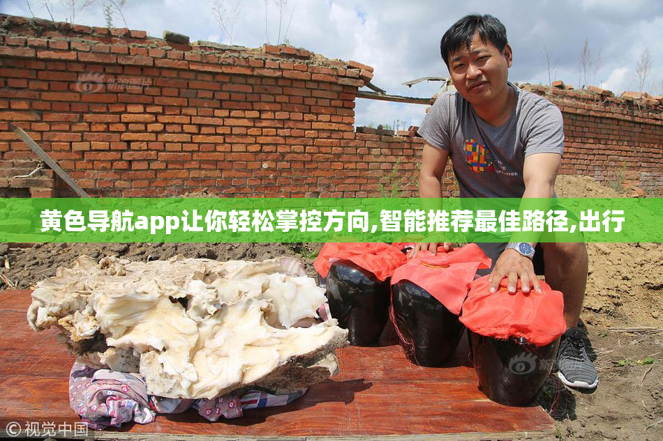 黄色导航app让你轻松掌控方向,智能推荐最佳路径,出行