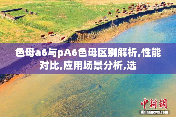 色母a6与pA6色母区别解析,性能对比,应用场景分析,选