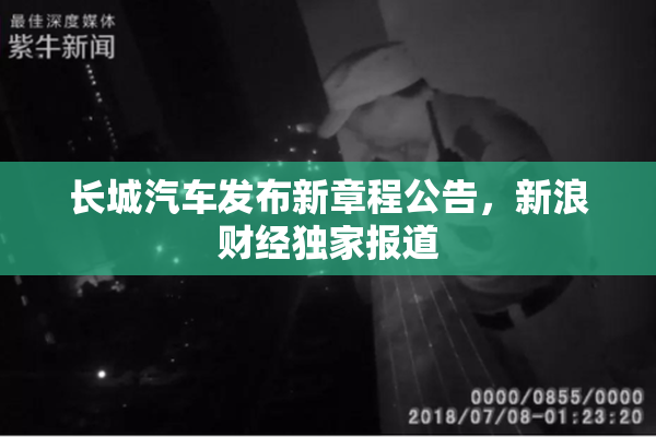 长城汽车发布新章程公告，新浪财经独家报道