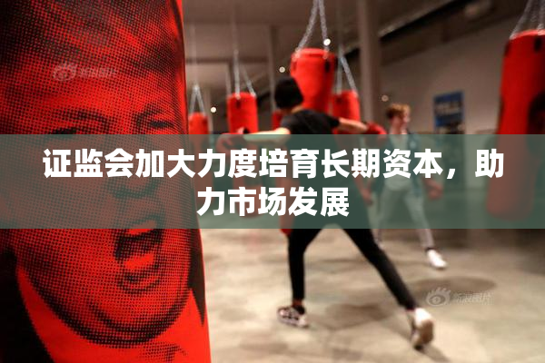 证监会加大力度培育长期资本，助力市场发展