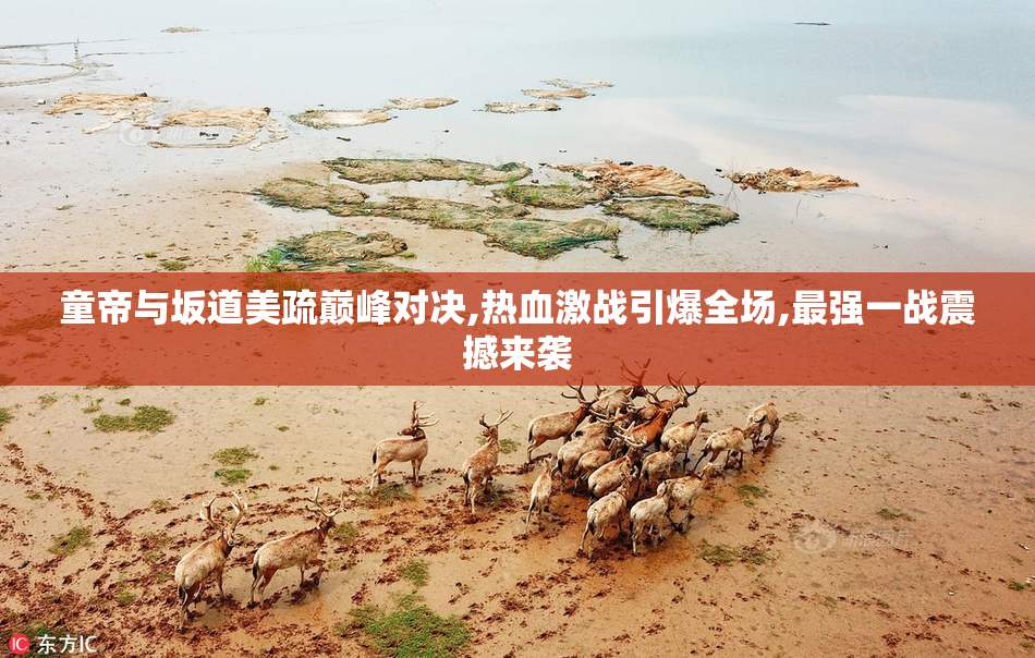 童帝与坂道美疏巅峰对决,热血激战引爆全场,最强一战震撼来袭