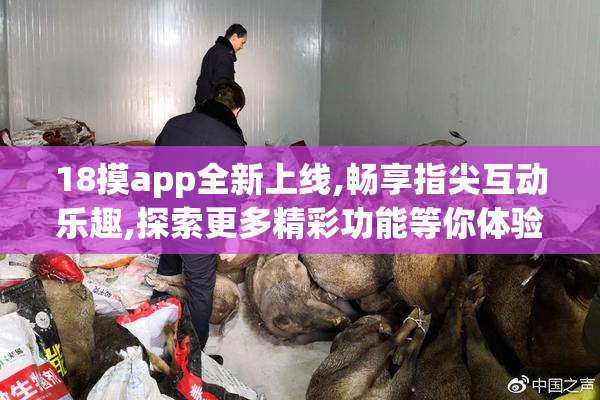 18摸app全新上线,畅享指尖互动乐趣,探索更多精彩功能等你体验