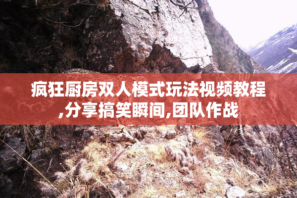 疯狂厨房双人模式玩法视频教程,分享搞笑瞬间,团队作战