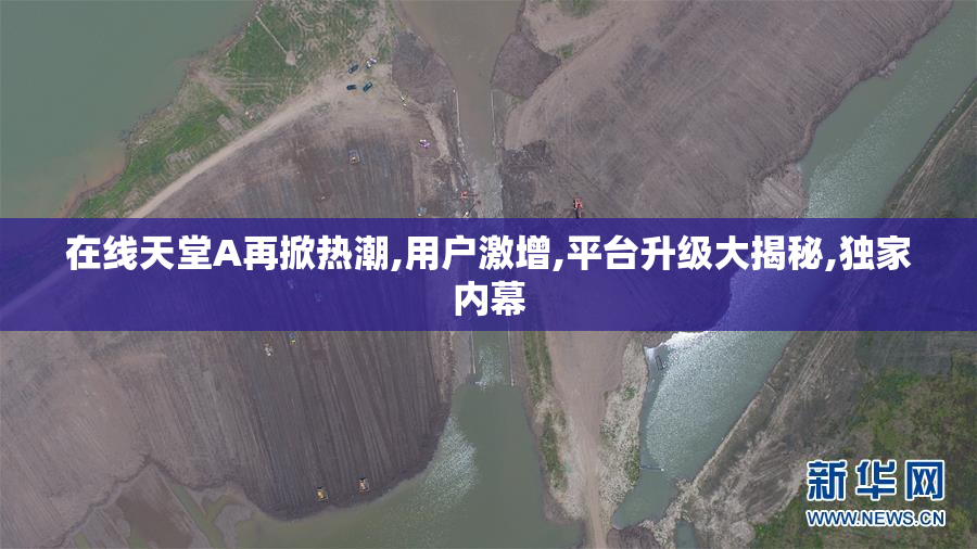 在线天堂A再掀热潮,用户激增,平台升级大揭秘,独家内幕